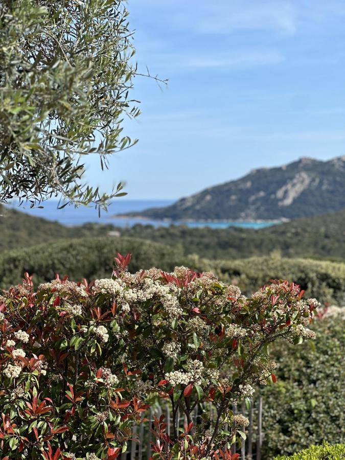Tres Belle Bergerie Avec Piscine Chauffee A 1 Km De Santa Giulia Villa Porto-Vecchio  Exterior foto
